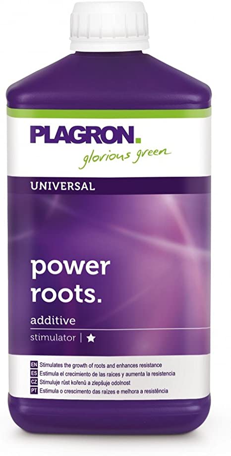 Plagron Power Roots