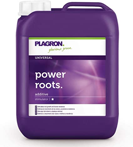 Plagron Power Roots