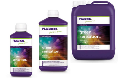 Plagron Green Sensation