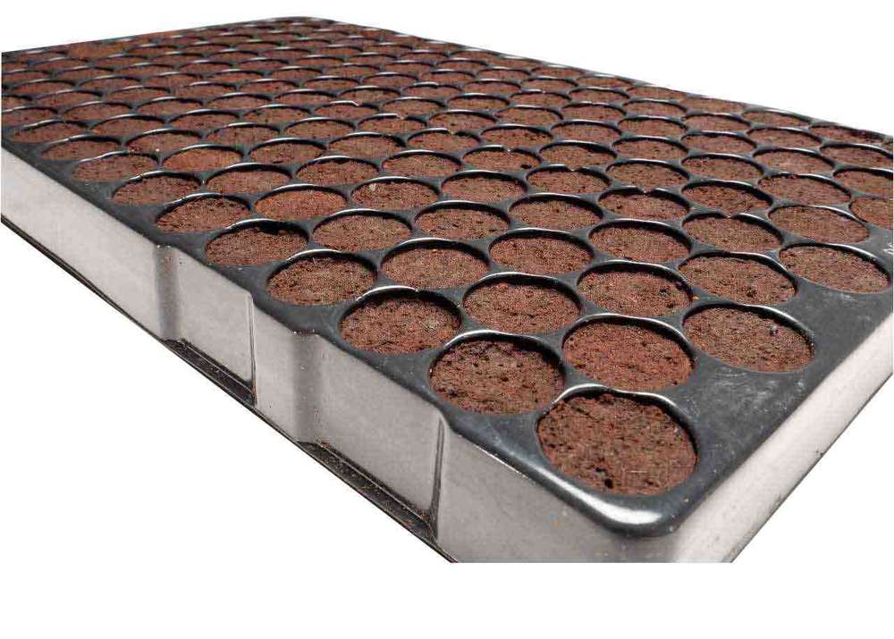 Model: SW-KLONMAX (Prefilled Propergation Trays)
